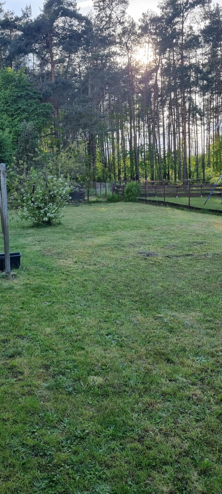 Karls Ferienhaus Grosskoschen Dış mekan fotoğraf